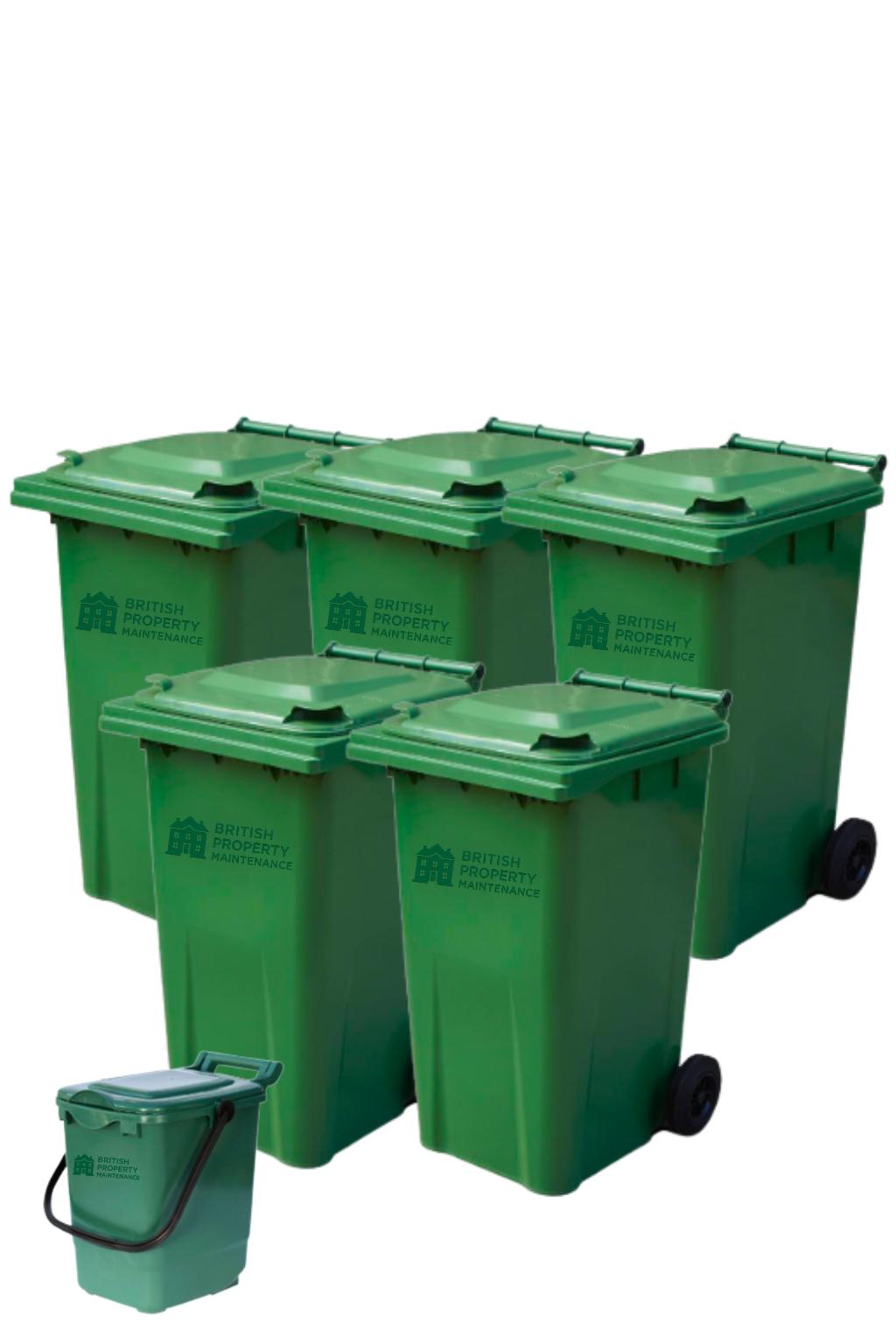 Five Bins and One Food Caddy Cleaning Service